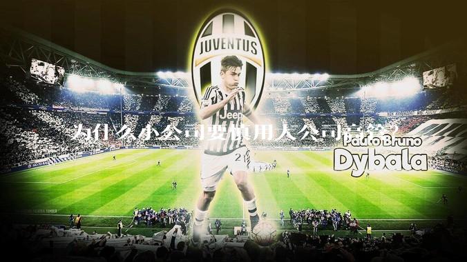 为什么小公司要慎用大公司高管？