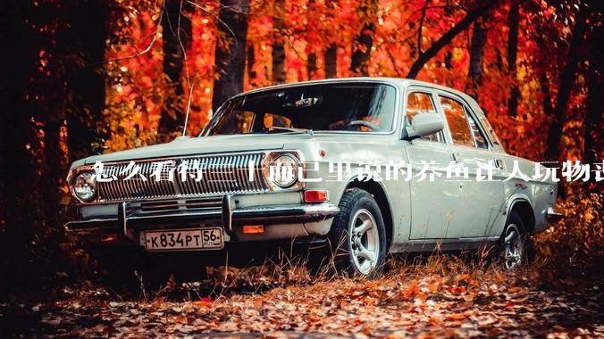 怎么看待三十而已里说的养鱼让人玩物丧志，养鱼是魔鬼，是黑洞，养鱼毁三代鱼缸毁一生的话?