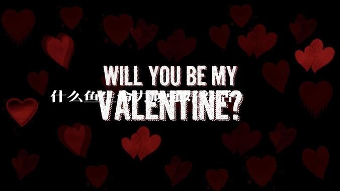 什么鱼生命力顽强好养活？