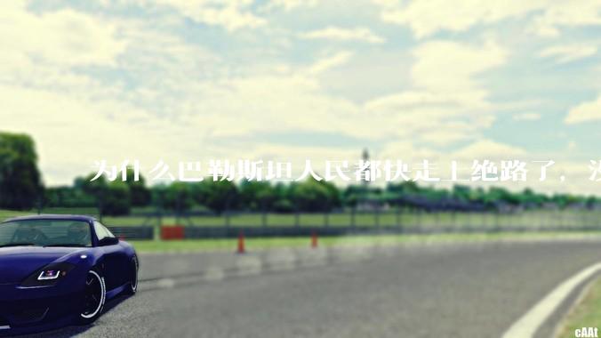 为什么巴勒斯坦人民都快走上绝路了，没有任何国家支援？