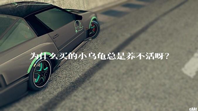 为什么买的小乌龟总是养不活呀？