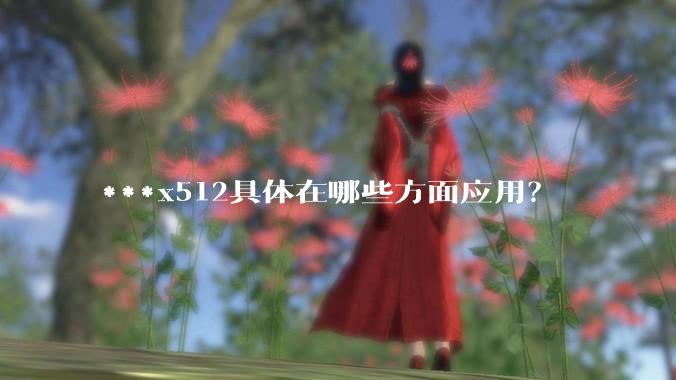 ***x512具体在哪些方面应用？