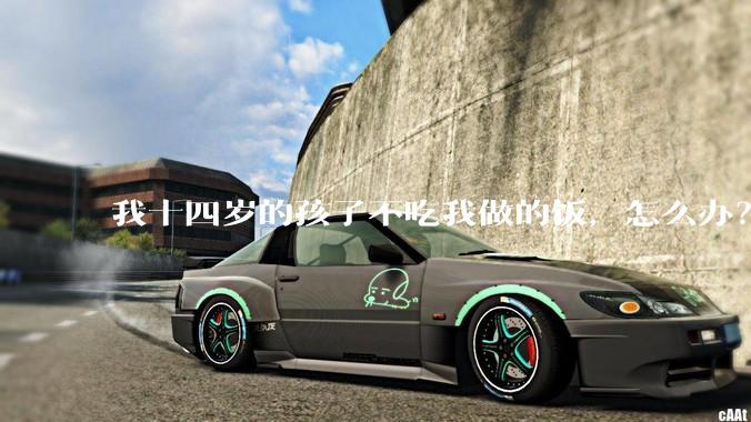 我十四岁的孩子不吃我做的饭，怎么办？