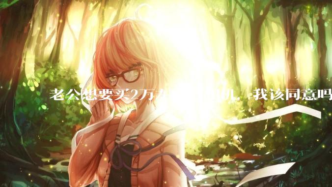 老公想要买2万左右的相机，我该同意吗？