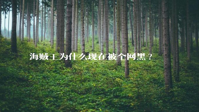 海贼王为什么现在被全网黑?