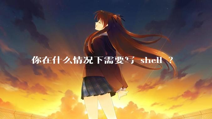 你在什么情况下需要写 shell ？