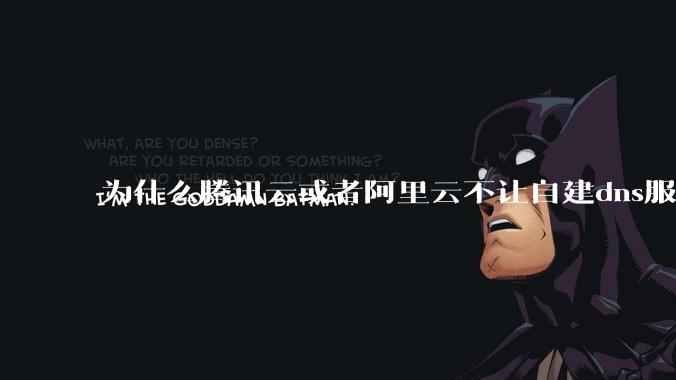 为什么腾讯云或者阿里云不让自建dns服务器?