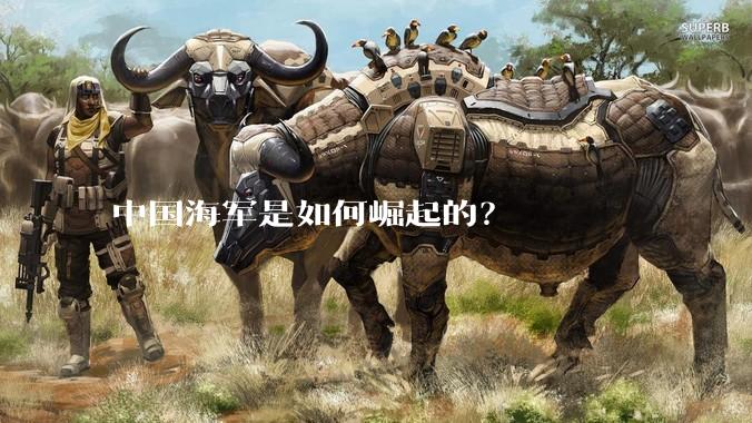 中国海军是如何崛起的？