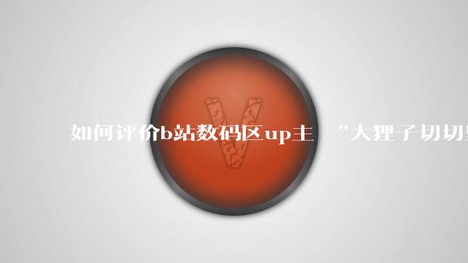 如何评价b站数码区up主 “大狸子切切里”?